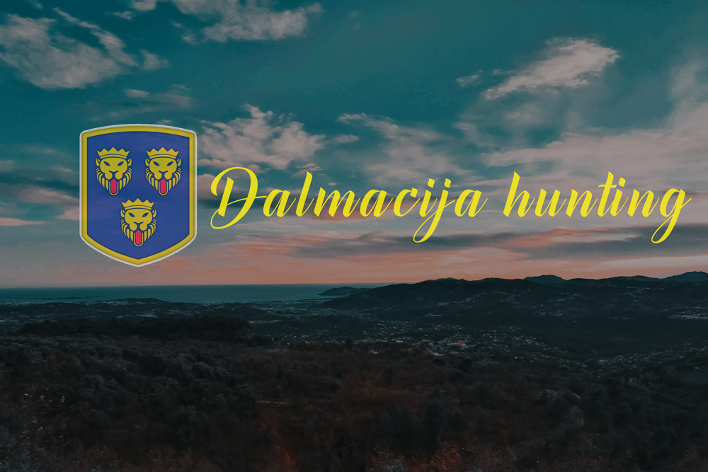 dalmacija hunting polaganje lovackog ispita